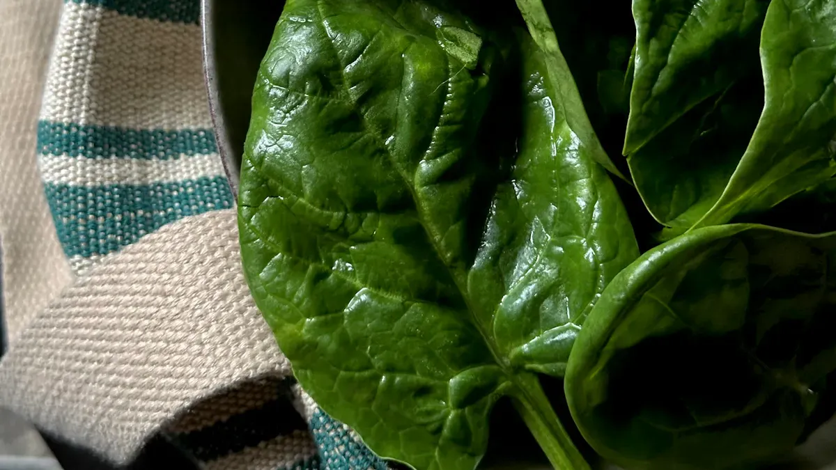 Vitamin A and Spinach Benefits