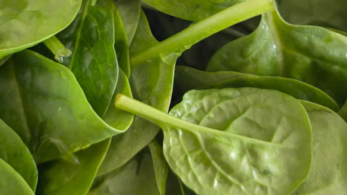Spinach Benefits: 11 Nutrients That Boost Your Health