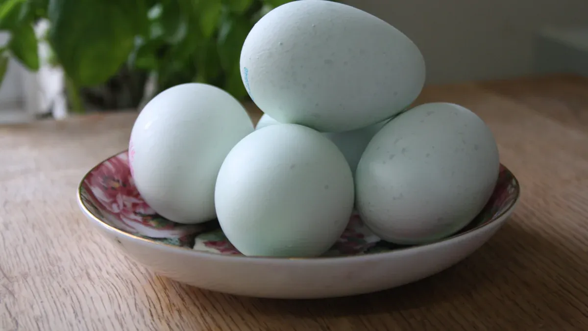 Eggs Protein Content Overview