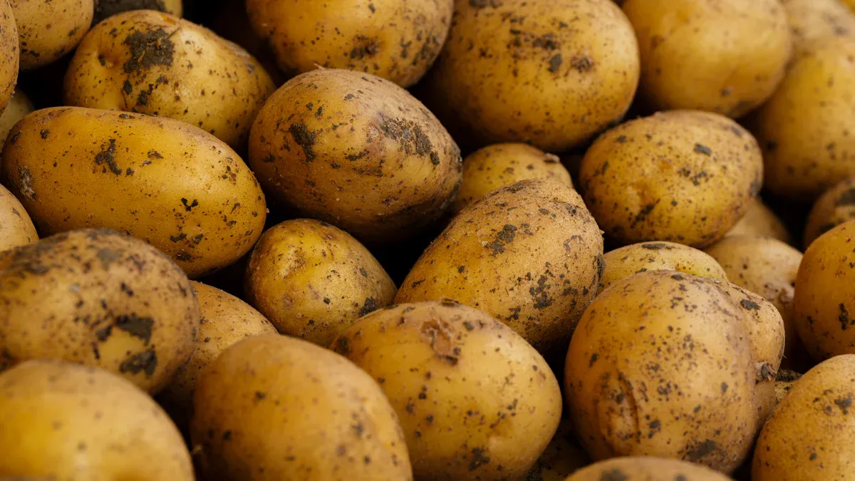 Potato Nutrition Facts