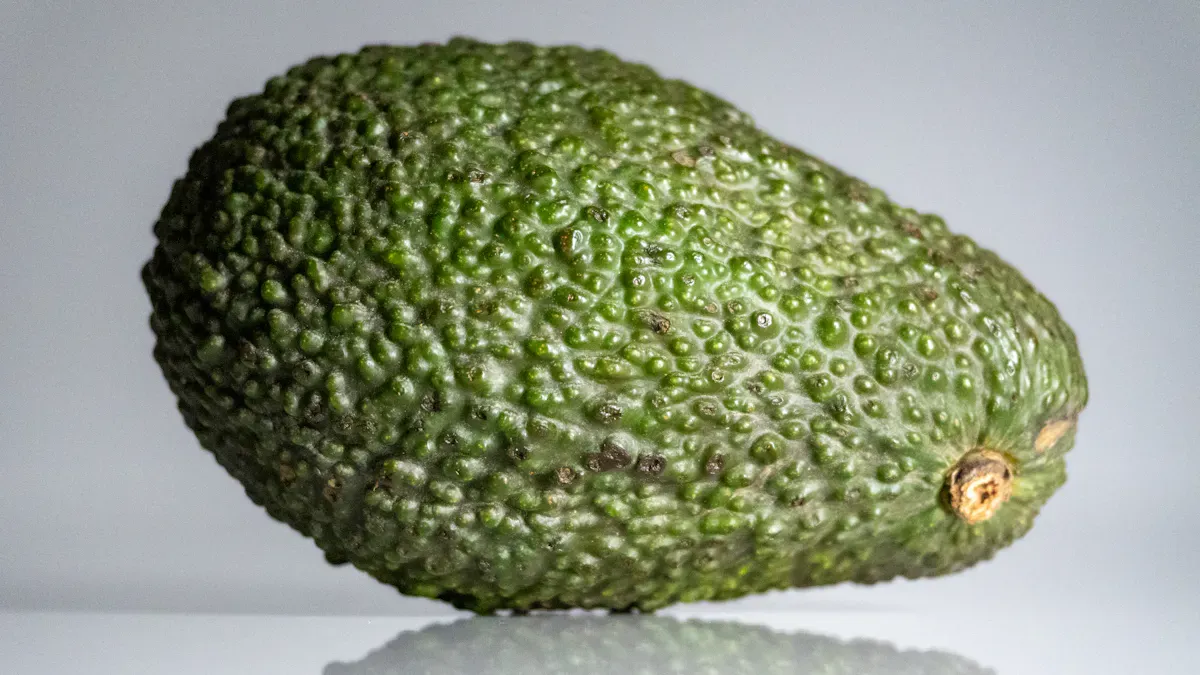 Avocado Benefits: Healthy Fats