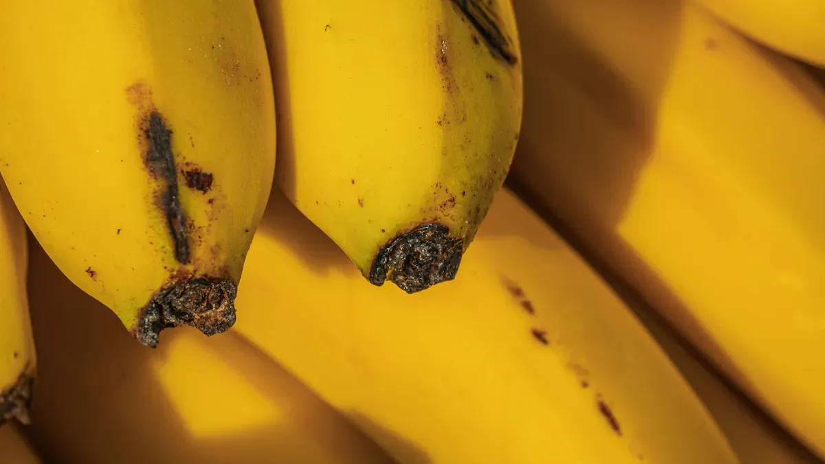 Nutritional Profile of Bananas