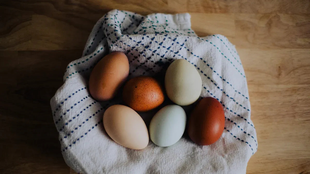 Eggs Protein Content: 9 Facts About Daily Intake