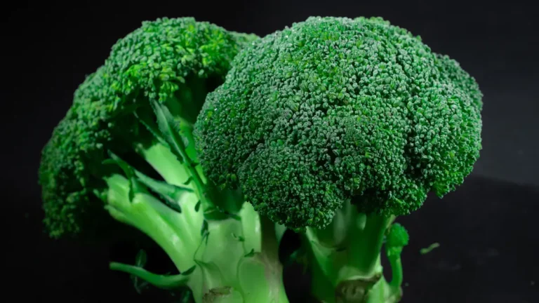 Broccoli Benefits: 11 Reasons It Supports Immunity