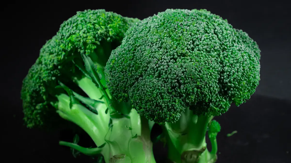 Broccoli Benefits: 11 Reasons It Supports Immunity