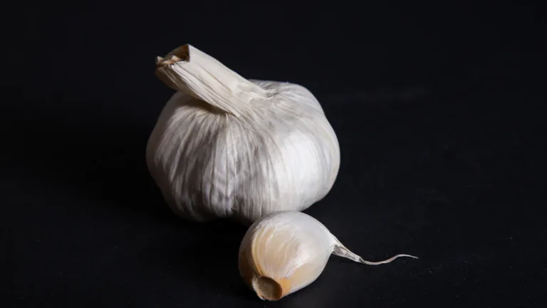 Garlic Benefits: 12 Effects on Immunity and Heart Health